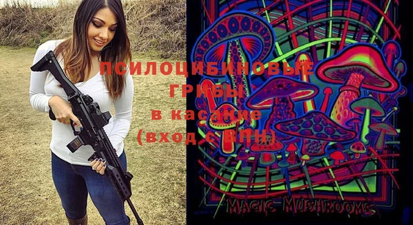 мет Абинск