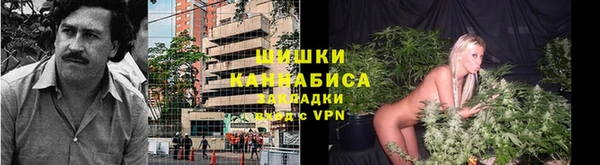 крисы Абдулино