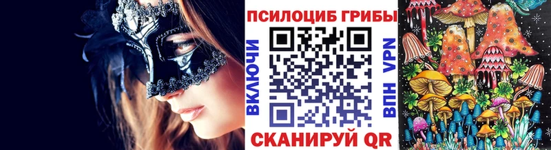 Галлюциногенные грибы Psilocybe  Павловский Посад 